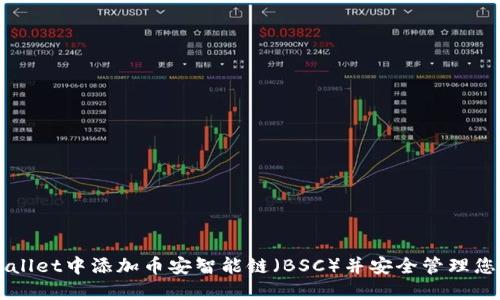 如何在TPWallet中添加币安智能链（BSC）并安全管理您的数字资产