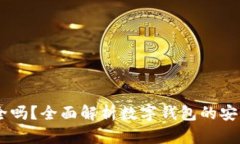 Ownbit钱包安全吗？全面解析数字钱包的安全性与