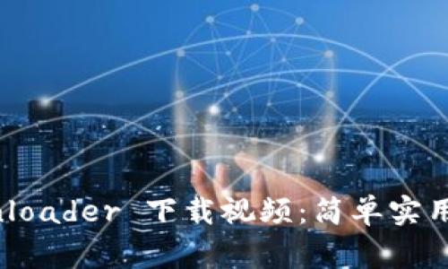 如何使用 BitDownloader 下载视频：简单实用的步骤与注意事项