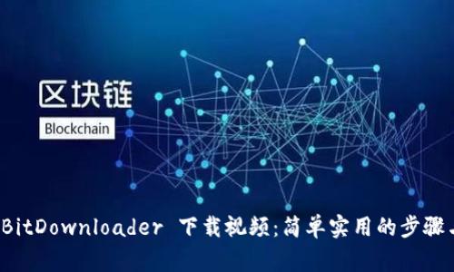 如何使用 BitDownloader 下载视频：简单实用的步骤与注意事项