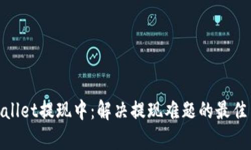 tpwallet提现中：解决提现难题的最佳策略