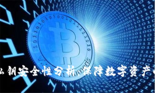 TPWallet的私钥安全性分析：保障数字资产的隐私和安全