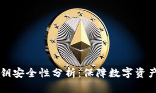 TPWallet的私钥安全性分析：保障数字资产的隐私和安全