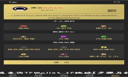如何便捷查询TPWallet IP地址？步骤与技巧详解