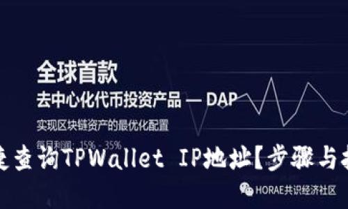 如何便捷查询TPWallet IP地址？步骤与技巧详解