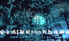 BNB钱包安全吗？解析BNB钱包诈骗与安全问题