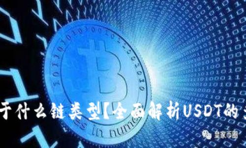 USDT属于什么链类型？全面解析USDT的多链背景