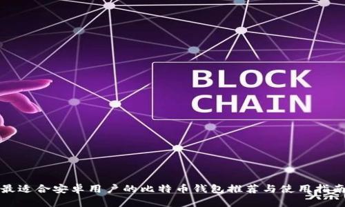 最适合安卓用户的比特币钱包推荐与使用指南