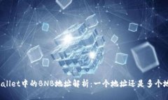 TPWallet中的BNB地址解析：一个地址还是多个地址？