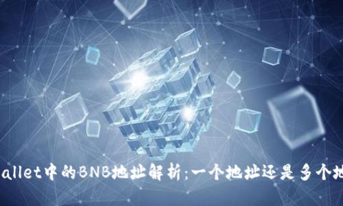 TPWallet中的BNB地址解析:一个地址还是多个地址?
