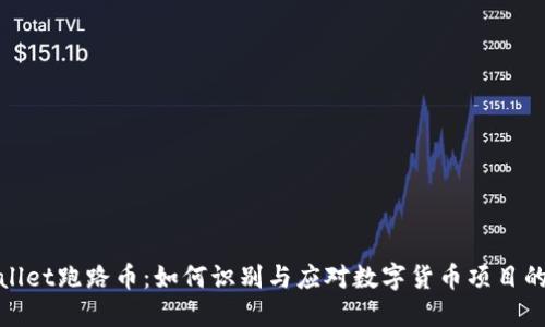 TPWallet跑路币：如何识别与应对数字货币项目的风险