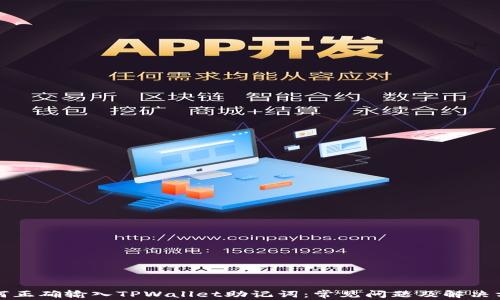 
如何正确输入TPWallet助记词：常见问题及解决方案