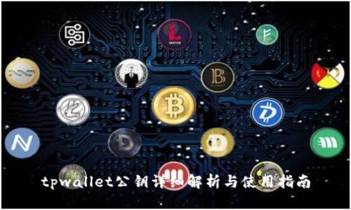 tpwallet公钥详细解析与使用指南