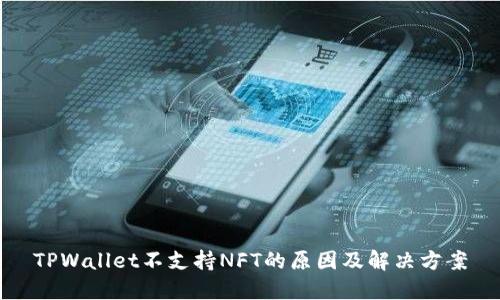 TPWallet不支持NFT的原因及解决方案