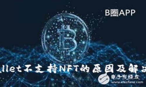 TPWallet不支持NFT的原因及解决方案