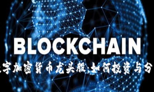 数字加密货币龙头股：如何投资与分析
