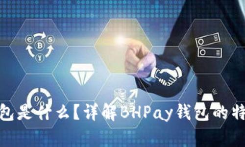 BHPay钱包是什么？详解BHPay钱包的特点与优势