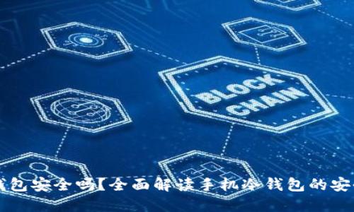 手机做冷钱包安全吗？全面解读手机冷钱包的安全性与风险