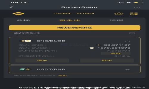 
Ownbit官网：探索数字资产的未来